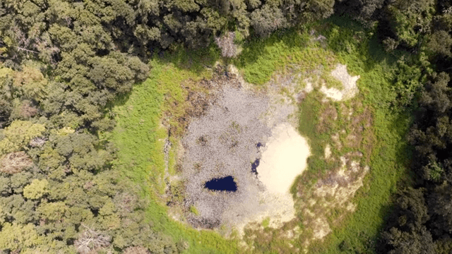 숲이 우거진 분화구의 항공 뷰