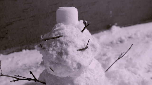 나뭇가지 팔을 가진 작은 눈사람