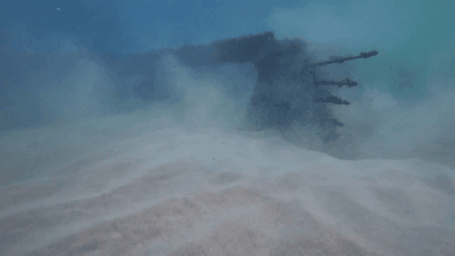 Underwater scene with marine life