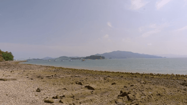 A rocky beach with distant mountains
