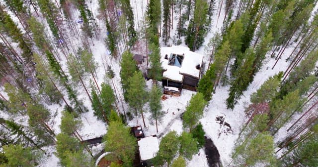 Snow-covered forest with a cabin