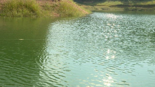 Baited fishing rod cast into a lake sparkling with sunlight