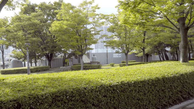 푸르른 녹지가 있는 고요한 공원