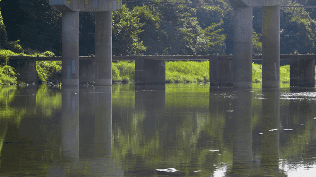 Quiet river beneath concrete bridge