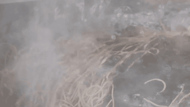 갓 만든 메밀면을 물에 헹구는 장면