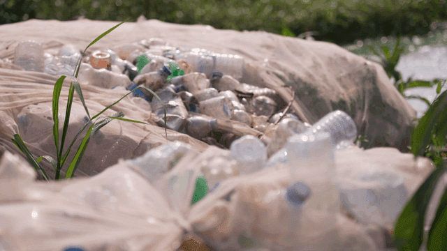 Plastic bottles collected in mesh bags