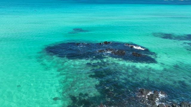 짙은 바위가 있는 맑은 터키색 바다