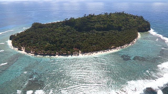 Lush tropical island surrounded by turquoise waters and a white sandy beach