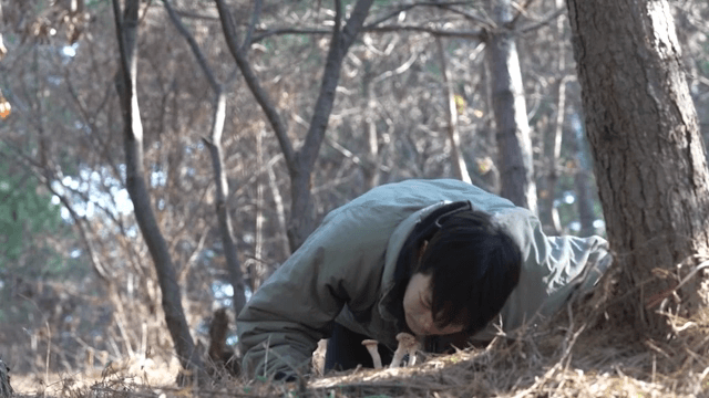 숲에서 버섯을 관찰하는 사람