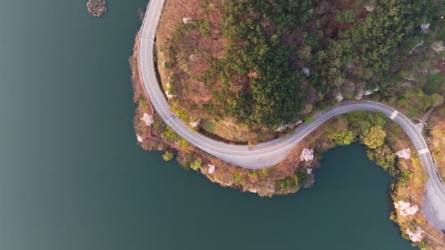 Winding road through a lush forest