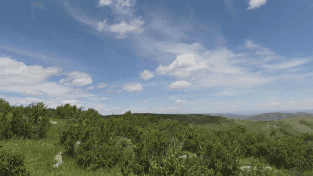 Vast meadow spread out under blue sky.