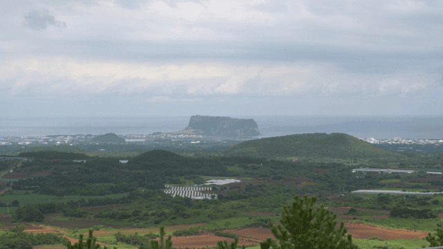 Grassland with distant view of Seongsan Ilchulbong