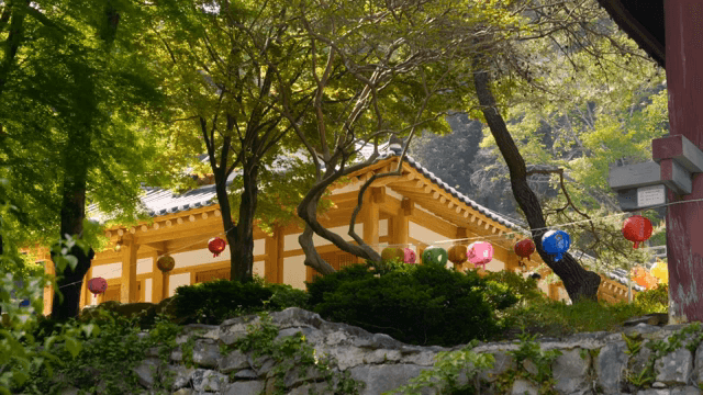 등불이 있는 전통 기와집