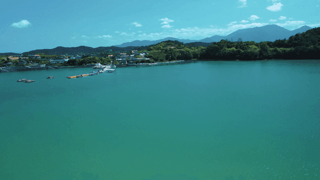 Sea with coastal village surrounded by forest