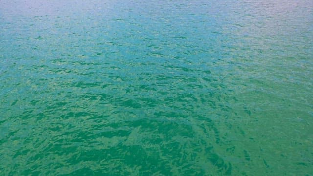 맑은 바닷물과 먼 산이 있는 평화로운 해변