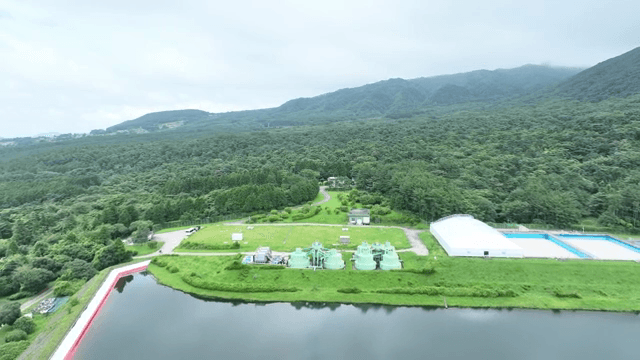 산업 구조물이 있는 울창한 숲