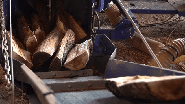 Logs being processed in a sawmill