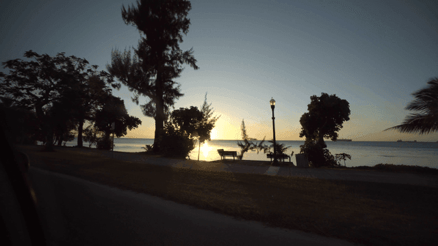 Driving along a beach with palm trees at sunset