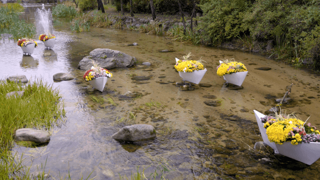 Colorful flower arrangements in a stream