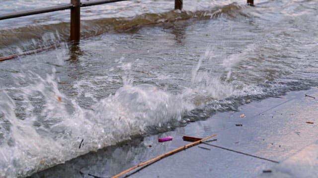 울타리를 넘어 범람한 강물