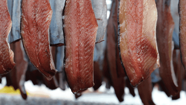 Gwamegi drying outdoors