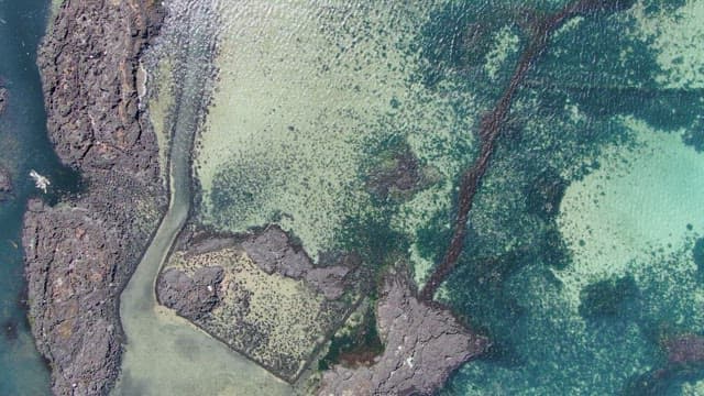 Coastal landscape with rocky shores