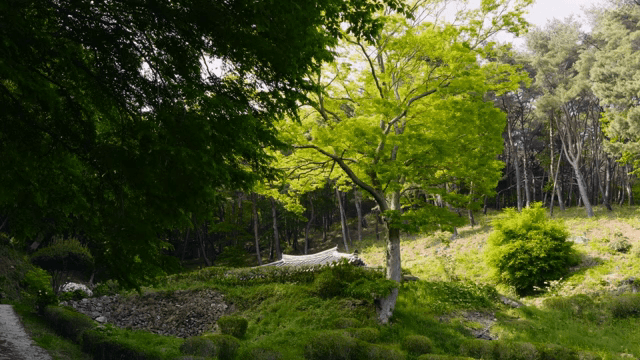 Green forest with traditional tile roofs