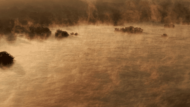 고요한 강 위의 아침 안개