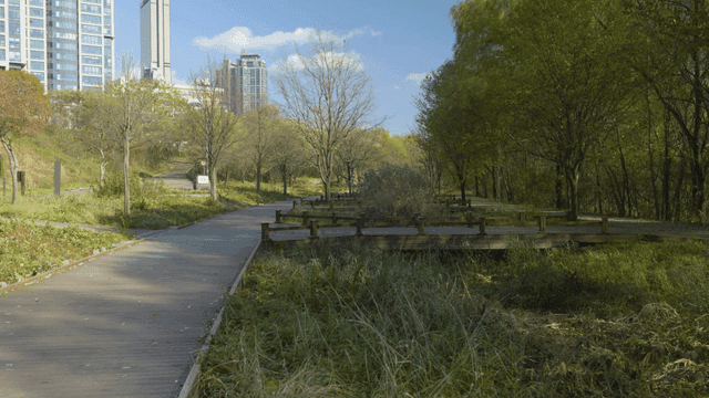Quiet park walking path with view of city buildings