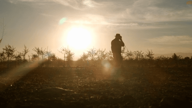 Farmer standing in a field at sunset