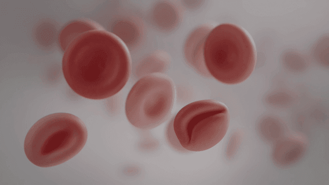 Floating red blood cells in a fluid
