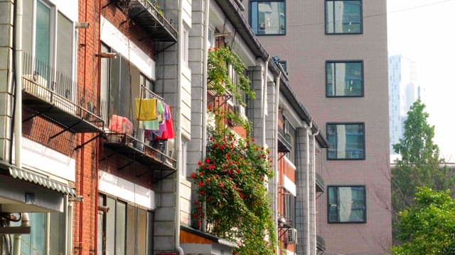 House balconies with flowers and laundry