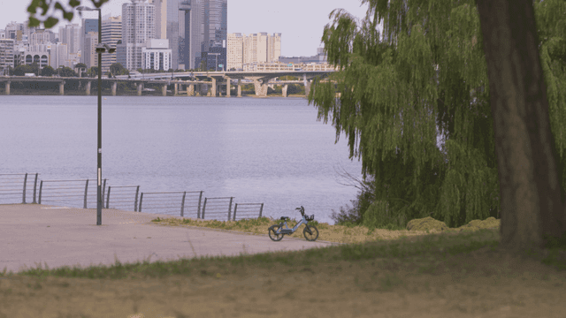 Toddler bicycles and city buildings by river