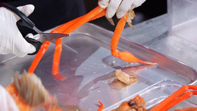 Hands cutting a red snow crab with scissors