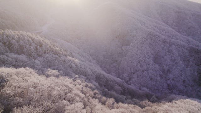 Snow-Covered Mountain in the Early Morning Light