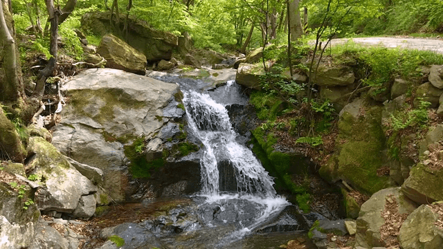 푸른 숲 속의 작은 폭포