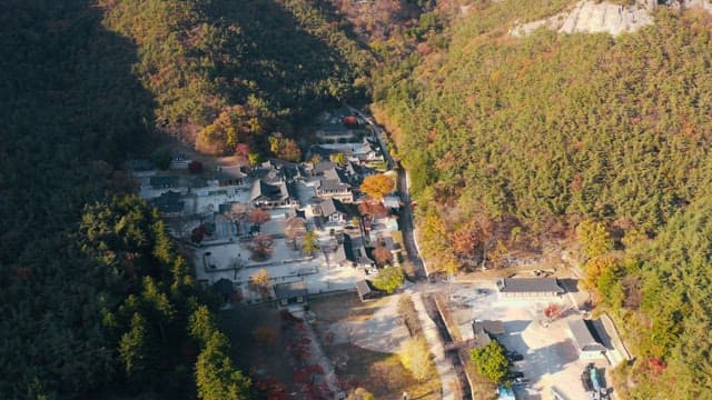 단풍나무로 둘러싸인 사찰