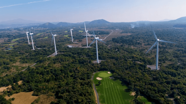 넓은 녹지에 있는 풍력 터빈