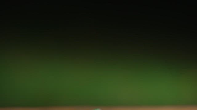 라임과 민트가 곁들여진 신선한 참치 사시미