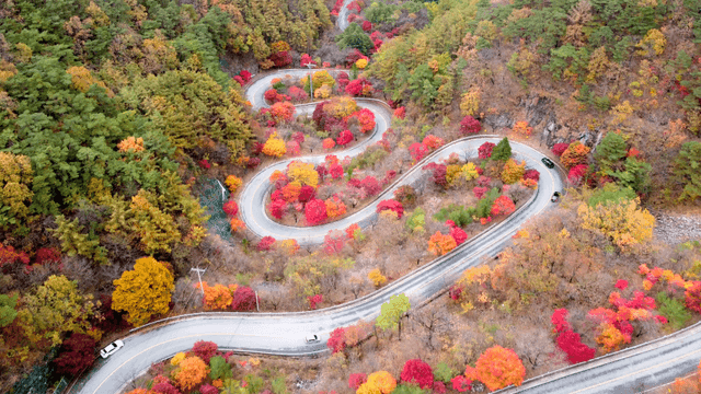 Winding road through colorful autumn forest