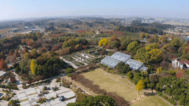 가을 단풍이 있는 아름다운 정원