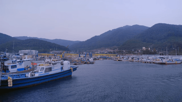 어선이 있는 평화로운 항구