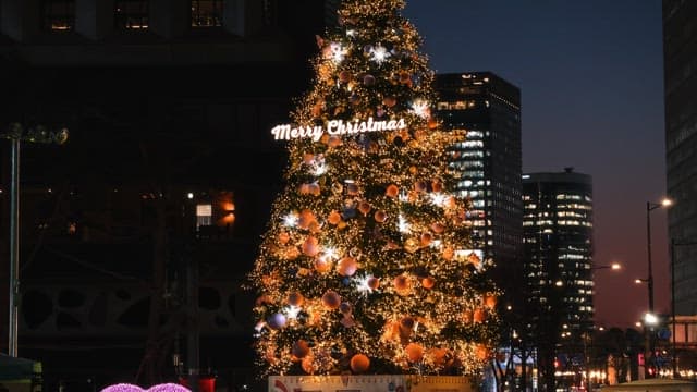 도시의 밤에 불이 켜진 크리스마스 트리