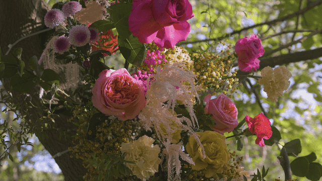 Colorful flowers blooming on a tree branch