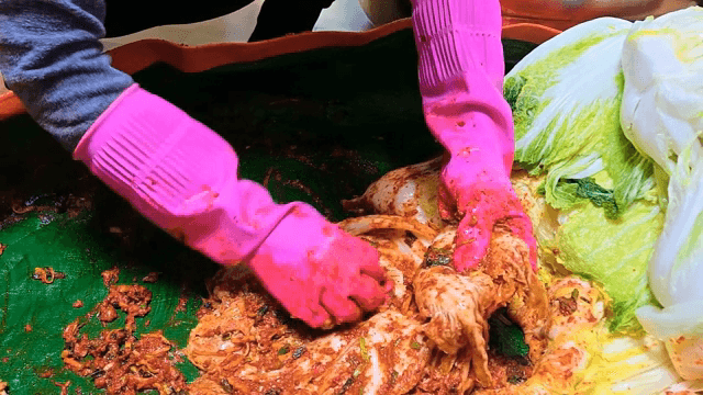 Hands preparing kimchi with cabbage