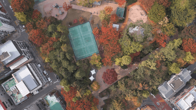 Aerial view of a city park with autumn foliage