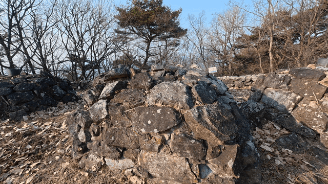 Pile of stones in forest