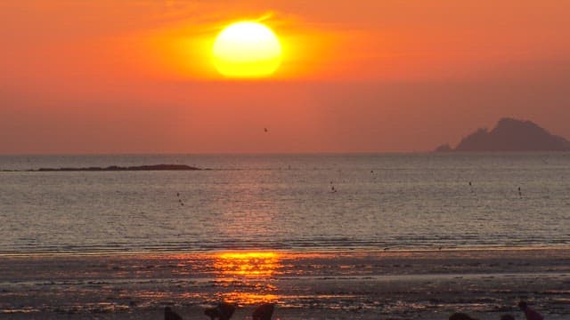 Sunset at the Low Tide Beach with Birds Flying