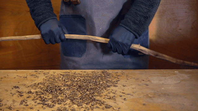 실내에서 나뭇가지를 부러뜨리는 사람