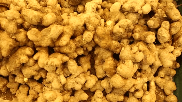 Pile of fresh ginger roots